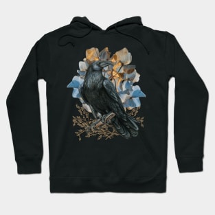 Whimsigoth Raven Pressed Flowers Soft Goth Design Hoodie